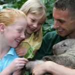 Featherdale Wildlife Park Attraction - Near Alpha Hotel Eastern Creek