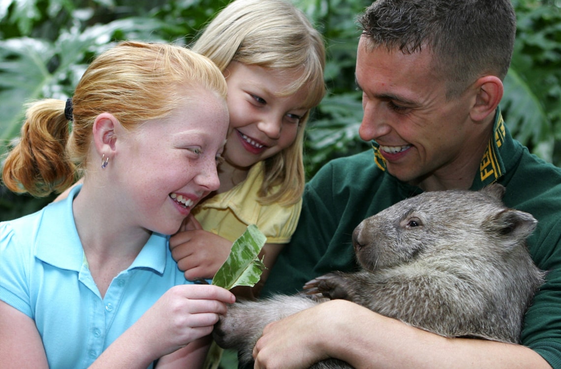 Featherdale Wildlife Park Attraction - Near Alpha Hotel Eastern Creek